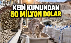 Türkiye'den 80 ülkeye kedi kumu ihracatı: 50 milyon dolar