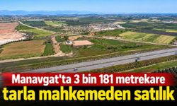 Manavgat'ta 3 bin 181 metrekare tarla mahkemeden satılık