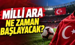 Milli ara ne zaman başlayacak? A Milli Takım maç programı belli oldu