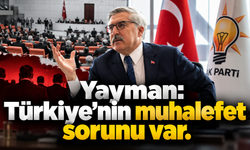 Yayman: Türkiye’nin muhalefet sorunu var
