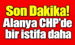 Son Dakika! Alanya CHP'de bir istifa daha