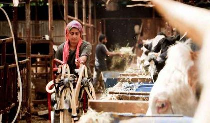 Evde canı sıkılan kadın servet sahibi oldu