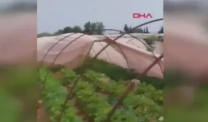 Antalya'da hortum seralara zarar verdi