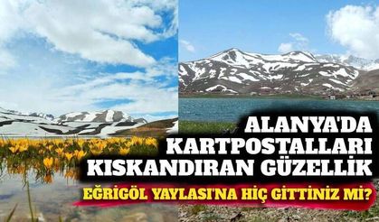 Alanya'nın saklı cenneti: Eğrigöl Yaylası