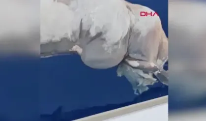 Gazipaşa'da teknesiyle gezintiyle çıktı; gördüğü karşısında şok oldu