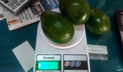 Başkan Sevilgen’den kilo ile avokado açıklaması