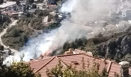 Alanya'da yangın paniği! Ucuz atlattık