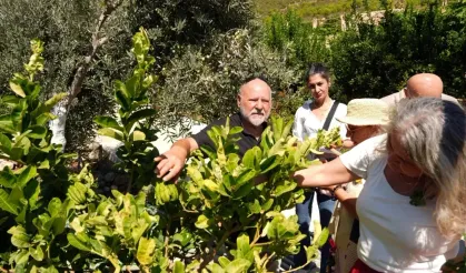 Alanya’da tropikal üretim yapan profesörden festival teşekkürü