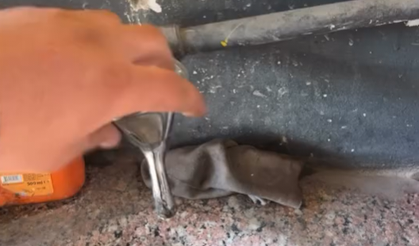 Alanya'da su kesintisi isyanı: ‘Lavaboya gidecek su yok’