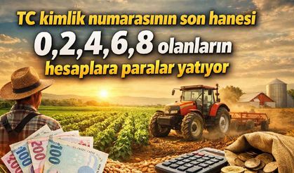 TC kimlik numarasının son hanesi 0,2,4,6,8 olanların hesaplara paralar yatıyor