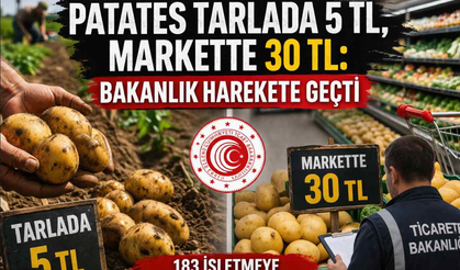 Patates tarlada 5 TL, markette 30 TL: Bakanlık harekete geçti
