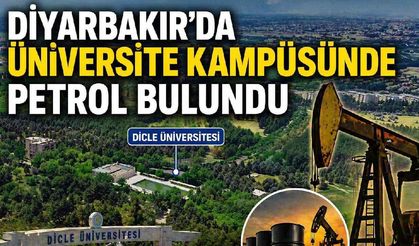 Diyarbakır'da üniversite kampüsünde petrol bulundu