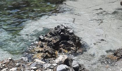 Soğukkapı Plajı’nda çevre alarmı