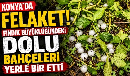 Konya'da felaket: Fındık büyüklüğündeki dolu bahçeleri yerle bir etti