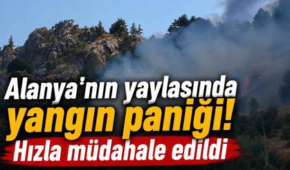 Alanya'nın yaylasında yangın paniği! Hızla müdahale edildi