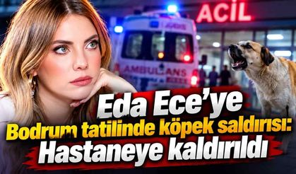 Eda Ece'ye Bodrum tatilinde köpek saldırısı: Hastaneye kaldırıldı