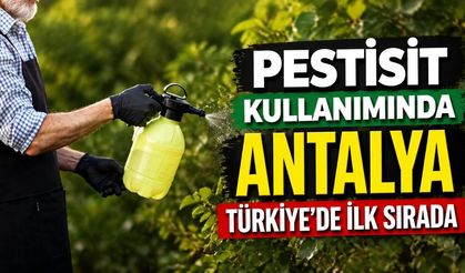 Pestisit kullanımında Antalya Türkiye’de ilk sırada