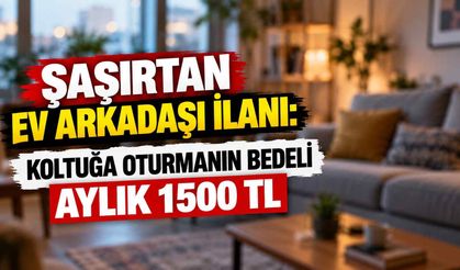 Şaşırtan ev arkadaşı ilanı: Koltuğa oturmanın bedeli aylık 1500 TL