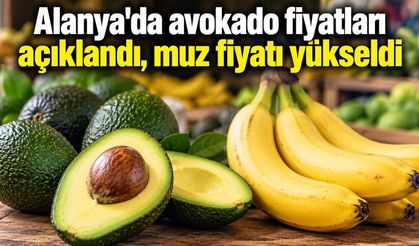 Alanya'da avokado fiyatları açıklandı, muz fiyatı yükseldi