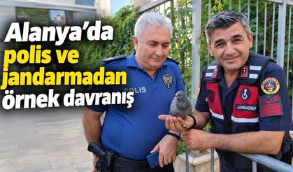 Alanya’da polis ve jandarmadan örnek davranış