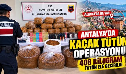 Alanya'da kaçak tütün operasyonu! 408 kilogram tütün ele geçirildi