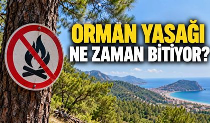 2026 orman yasakları ne zaman bitiyor? Alanya için tarih belli