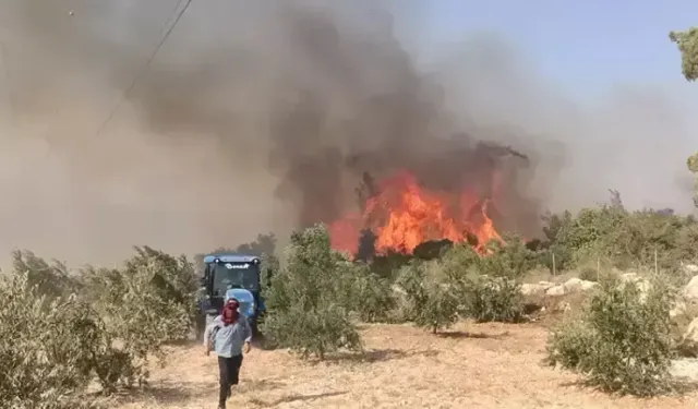 Gazipaşa'daki yangın Anamur'a yaklaştı... Evler tahliye edildi