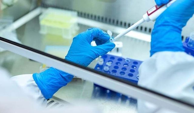 Altı ayda kanseri yok eden yeni yöntem