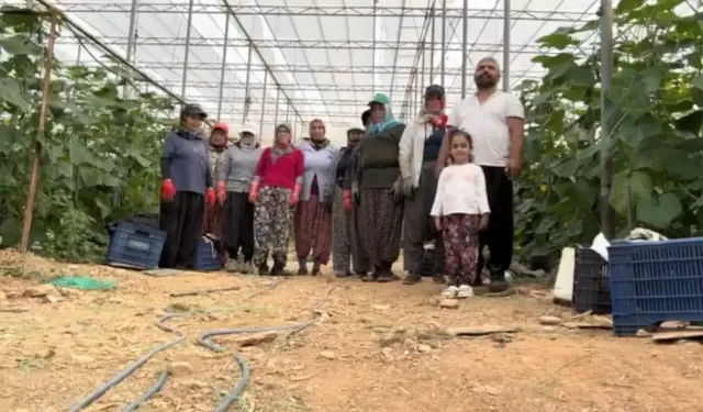 Alanya'da sera işçilerinden duygulandıran 10 Kasım saygı duruşu ​ ​