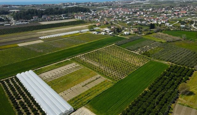 Manavgat'ta 8 dönüm tarla satışa çıkarıldı