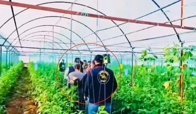 7 yıl önce işlenen cinayetin hükümlüsü Antalya’da yakalandı