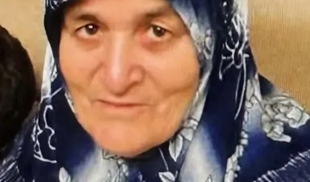 Torunu tarafından bıçaklanan babaanne hayatını kaybetti