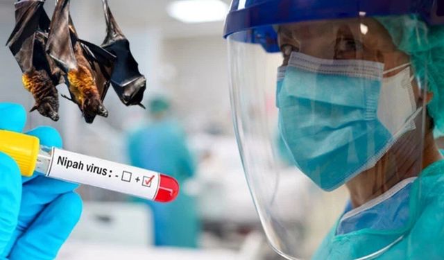 Ölüm oranı Kovid'i beşe katladı: Nipah virüsü alarmı