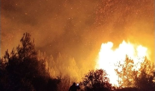 Son dakika - Antalya'da orman yangını