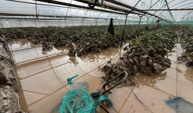 Antalya’da afet seferberliği: Milletvekilleri sahaya indi