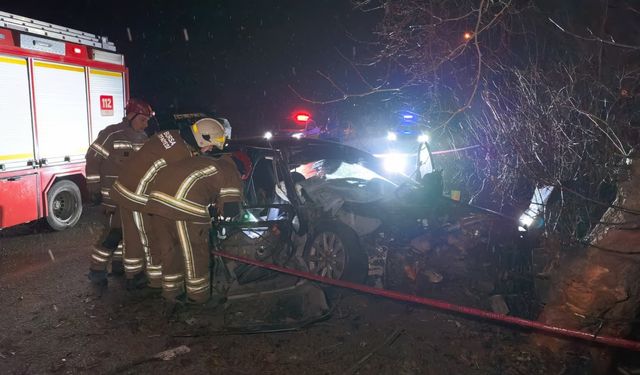 Kontrolden çıkan otomobil hayattan kopardı