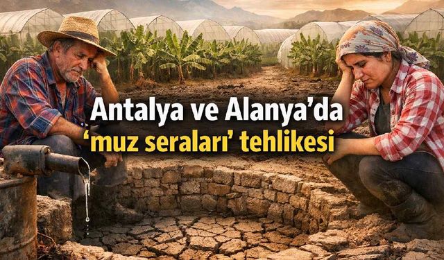 Antalya ve Alanya'da 'muz seraları' tehlikesi
