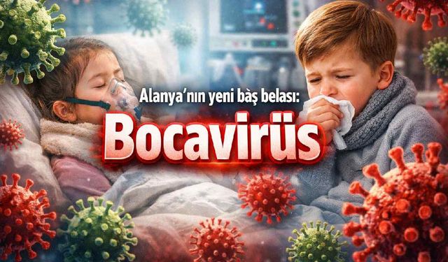 Alanya'nın yeni baş belası: Bocavirüs