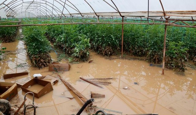 Yağış felakete dönüştü! Manavgat'ta seralar sulara gömüldü