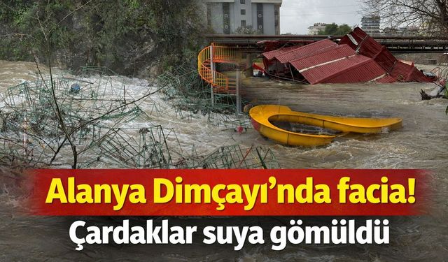 Alanya Dimçayı'nda facia! Çardaklar suya gömüldü