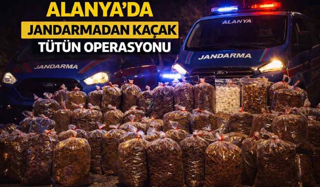 Alanya’da jandarmadan kaçak tütün operasyonu