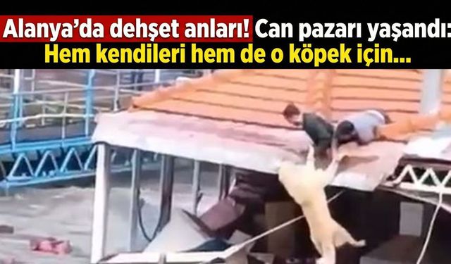 Alanya’da dehşet anları! Can pazarı yaşandı: Hem kendileri hem de o köpek için...