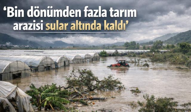 Alanya'da tarım arazileri su altında kaldı