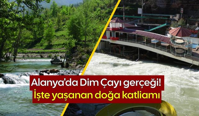 Alanya'da Dim Çayı gerçeği! İşte yaşanan doğa katliamı