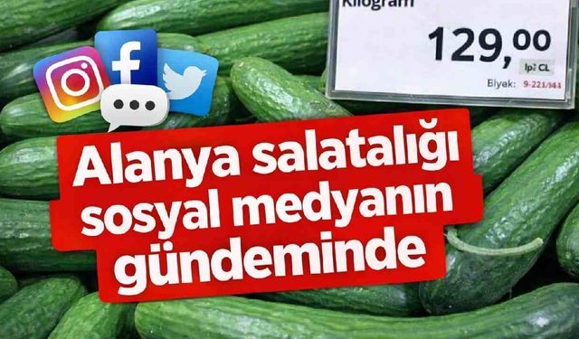 Alanya salatalığı sosyal medyanın gündeminde