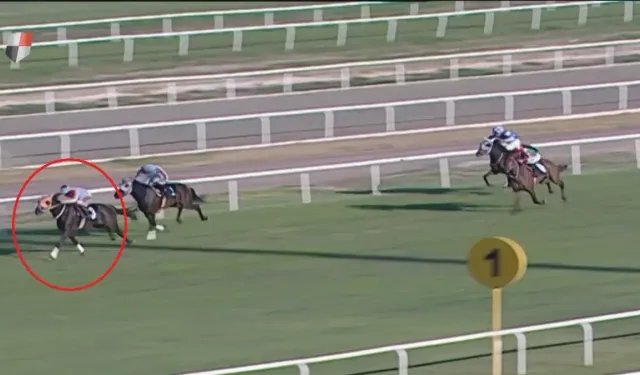 Kavurma yapılan yarış atının sahibine şok ceza