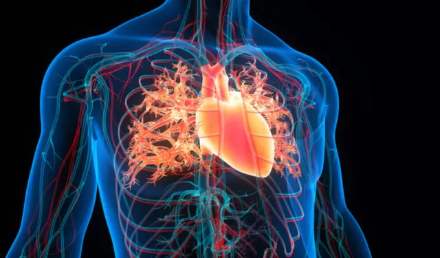 Tıkalı damarlar için mucize karışım