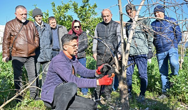 Antalya’da ATASEM’den ağaç bakımı eğitimi