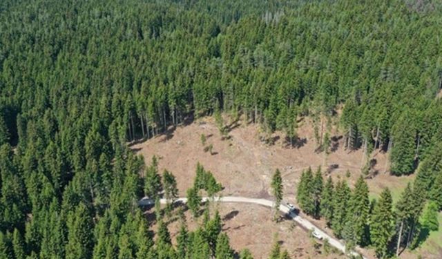 80 bin iptalli tapuda düğüm Meclis’te: yeni adım