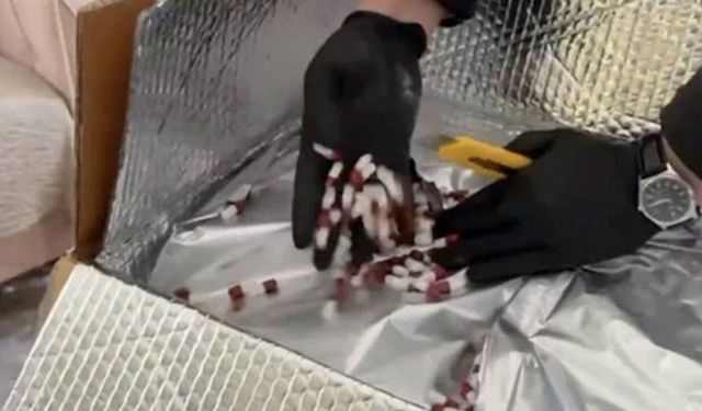 Silivri'de dev uyuşturucu operasyonu: 5 gözaltı